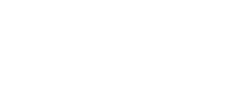 ALLNET Logo
